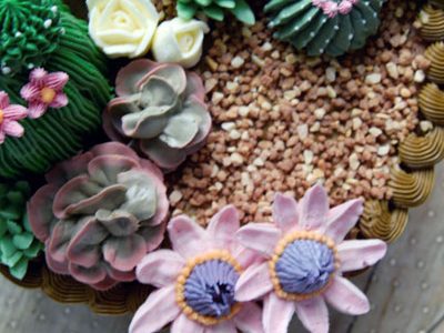 Curso cactus, suculentas y flores